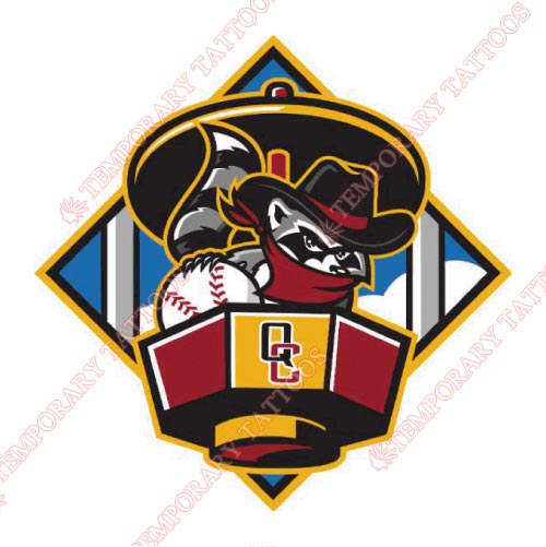 Quad Cities River Bandits Customize Temporary Tattoos Stickers NO.8126